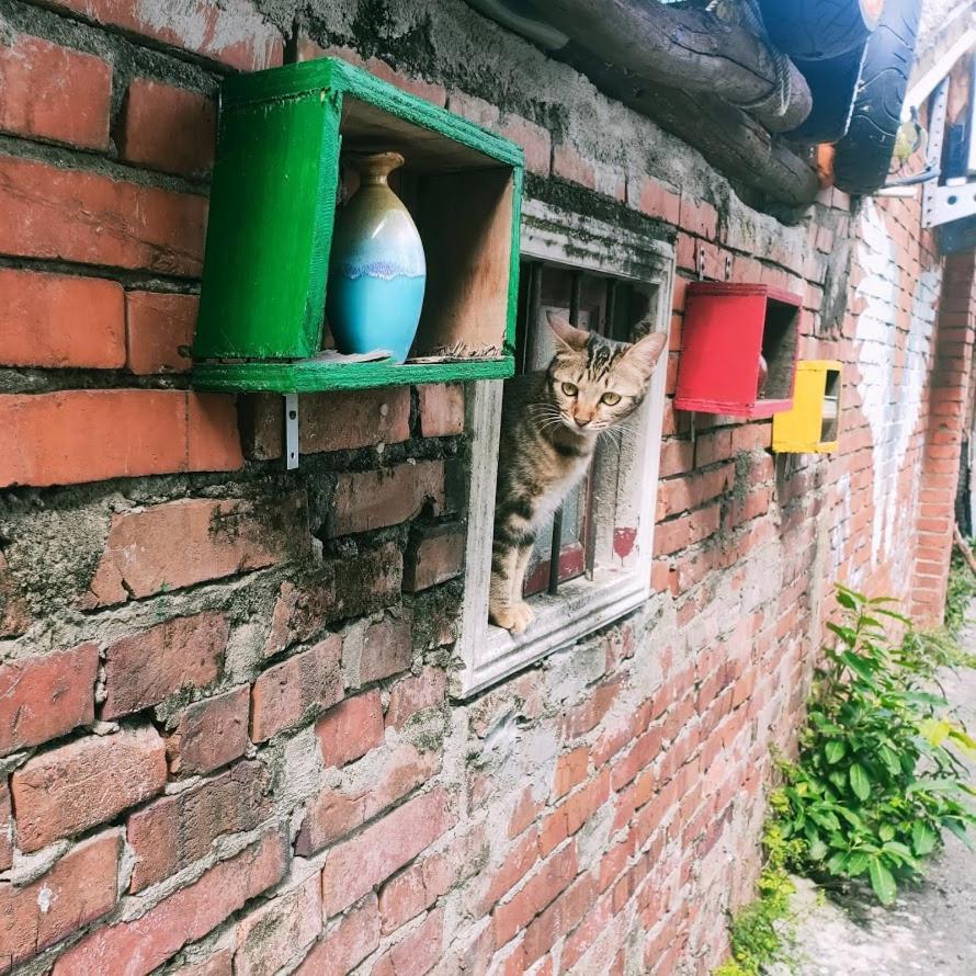 M Hostel貓客棧-清交大藝術眷村客棧 ซินจู๋ ภายนอก รูปภาพ